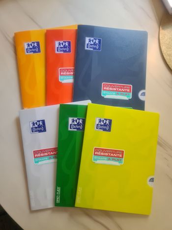 Lot de 6 cahiers 24x32cm NEUFS