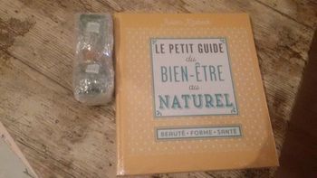 Livre Le Petit Guide du Bien Etre
