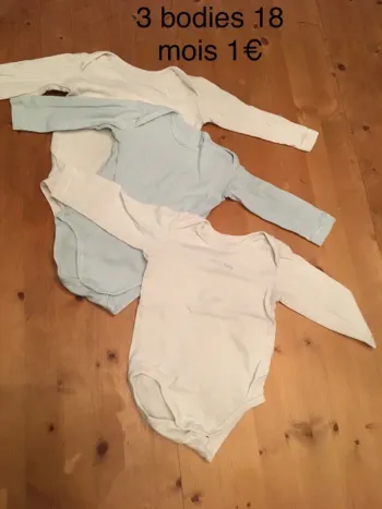 3 bodies 18 mois