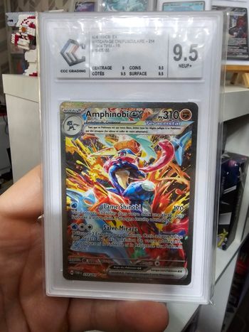 Amphinobi Ex 214/167 CCC 9,5