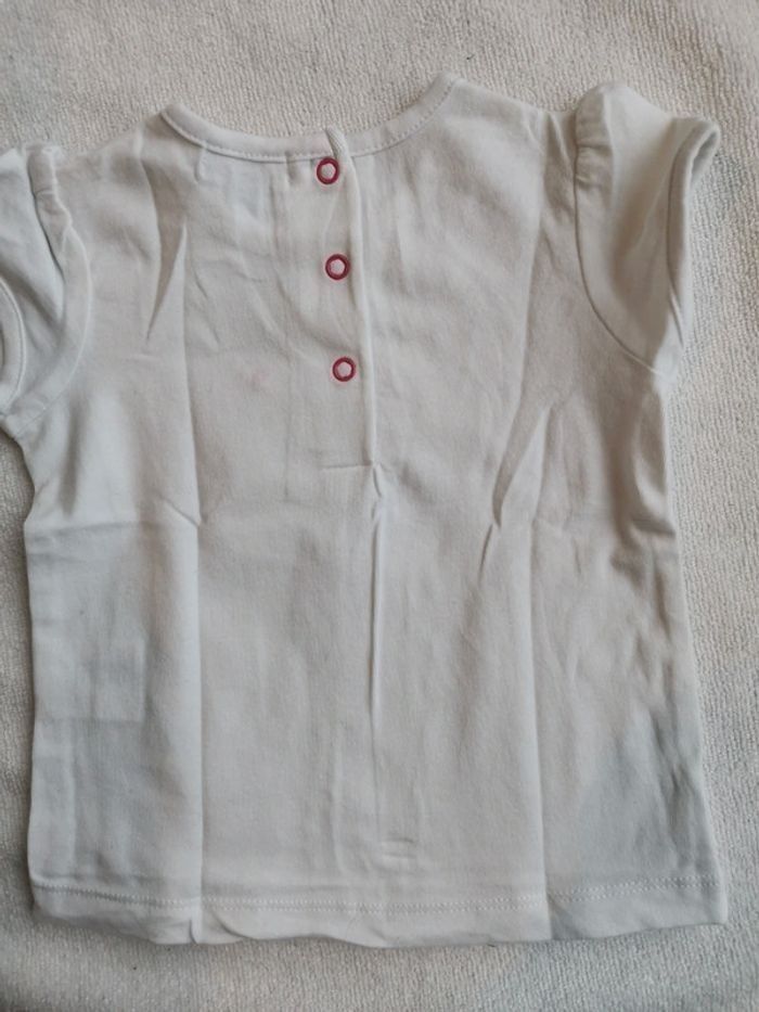 Lot de 2 tee shirt grain de blé 6 mois - photo numéro 5