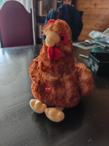Poule qui cacete