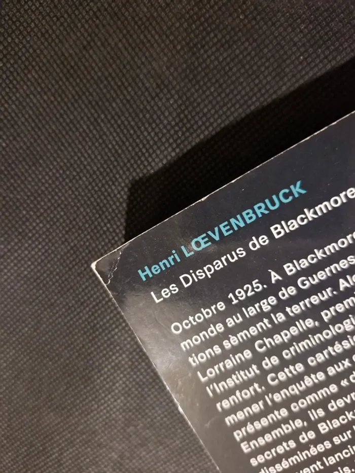 Les Disparus de Blackmore - Henri Loevenbruck - photo numéro 9