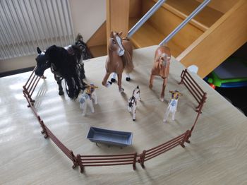 Lot de chevaux + barrières
