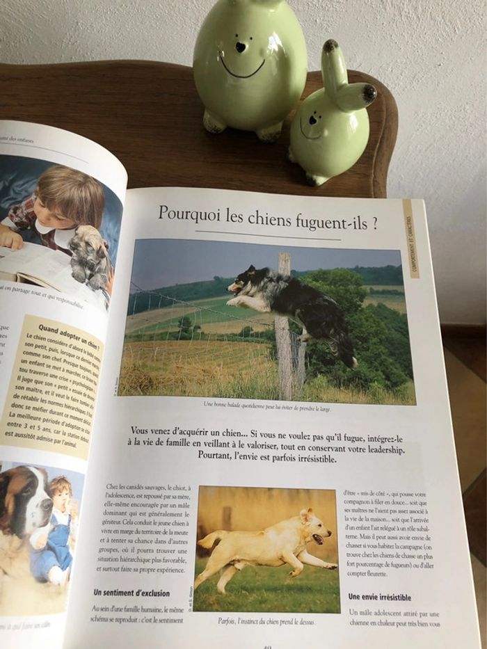 Livre les chiens - photo numéro 3