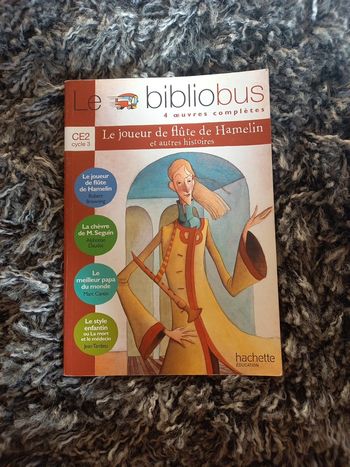 Livre pour enfant "le joueur de flute de Hamelin