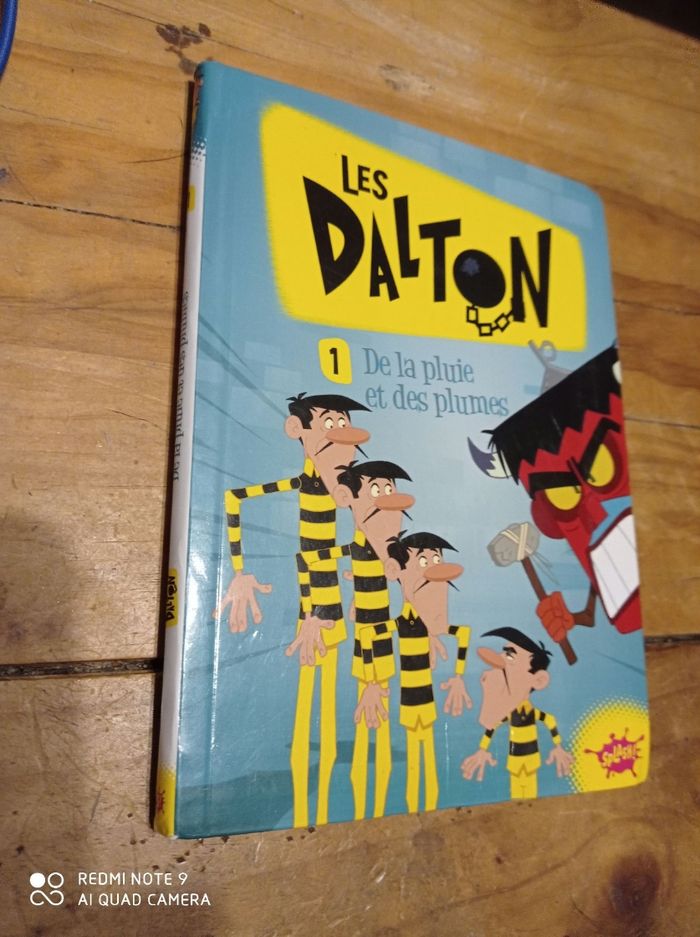 Livre les Dalton