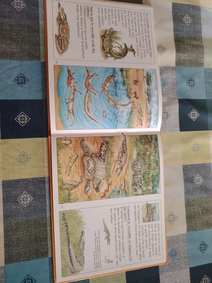 Livre sur le crocodile - photo numéro 19