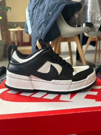 Nike Dunk Low disrupt