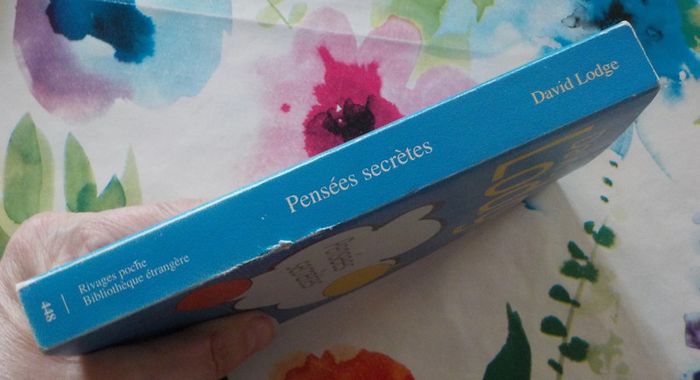 Pensées secrètes de David Lodge Ed. Rivages - photo numéro 3