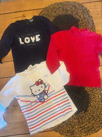 Lot 3 tee-shirts ML 18m