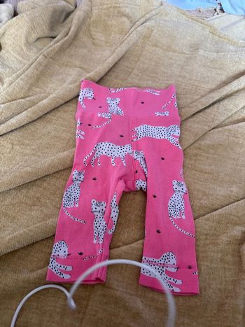 Legging