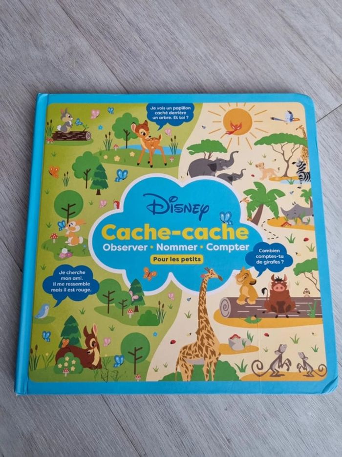 Livre disney Cache Cache - photo numéro 2