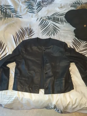 Veste simili