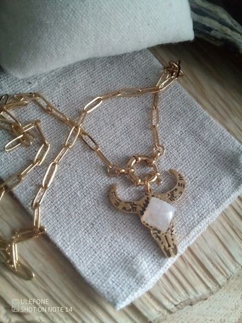 Collier tête de taureau et pierre de lune