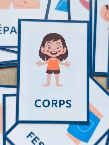 24 Cartes de nomenclature du corps humain