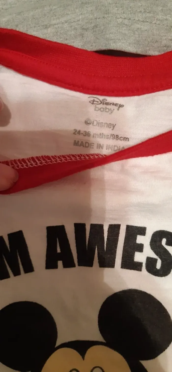Lot de 2 tee shirts manches longues 24-36 mois - photo numéro 2