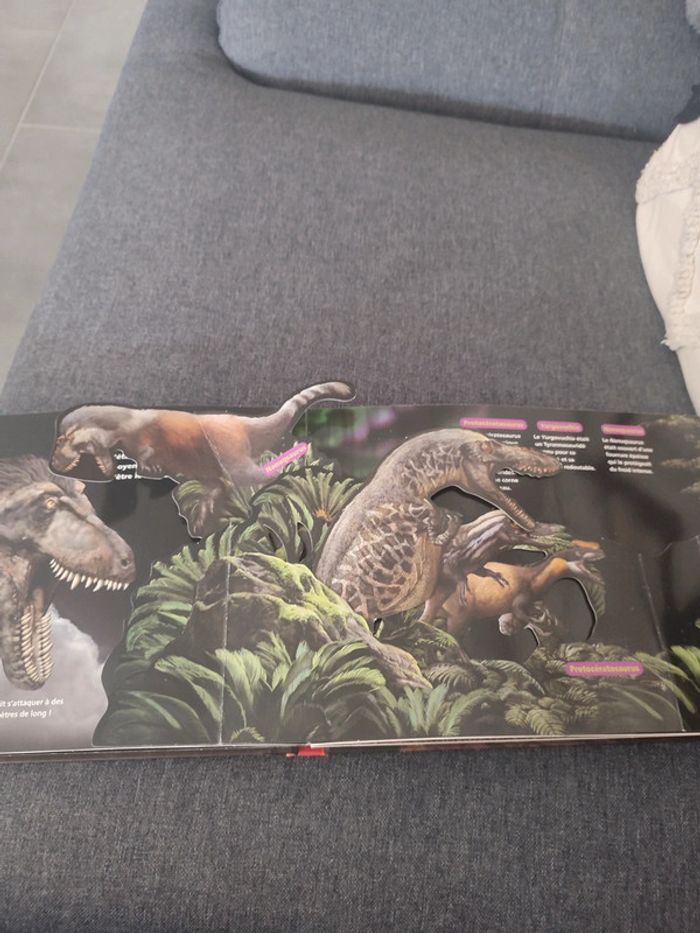 Lot de 3 livres dinosaures - photo numéro 4