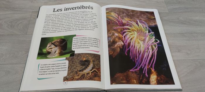 Livre - photo numéro 2