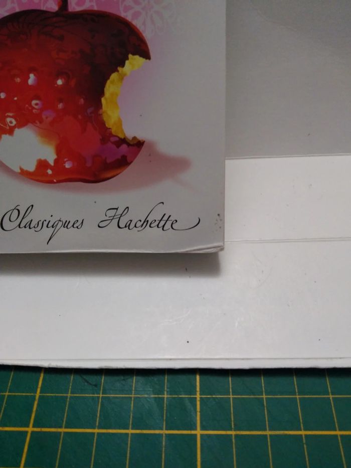 Classique Manon Lescaut - photo numéro 3