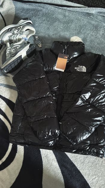 Veste the north face