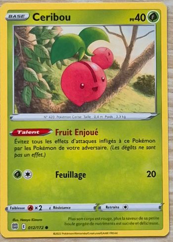 Ceribou Stars Étincelantes