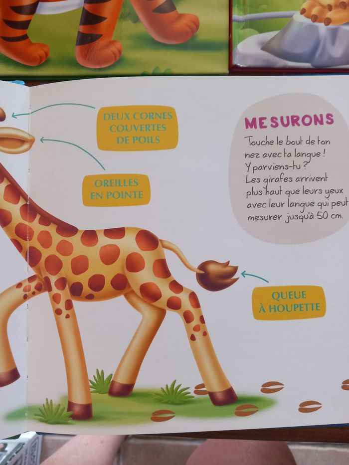 Lot 3 livres mes animaux du zoo - photo numéro 10