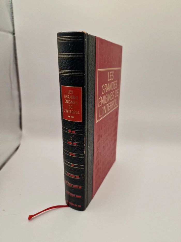 Les grandes enigmes de l'interpol - photo numéro 2