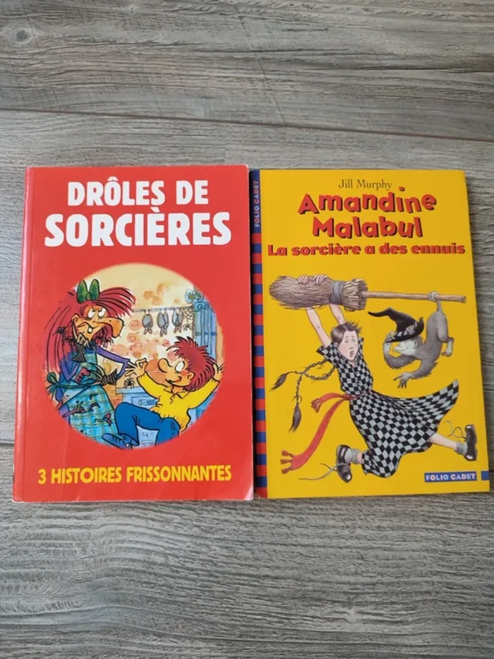 Lot de 2 livres sur les sorcières