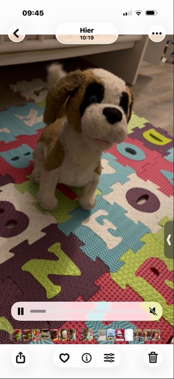 Chien robot 