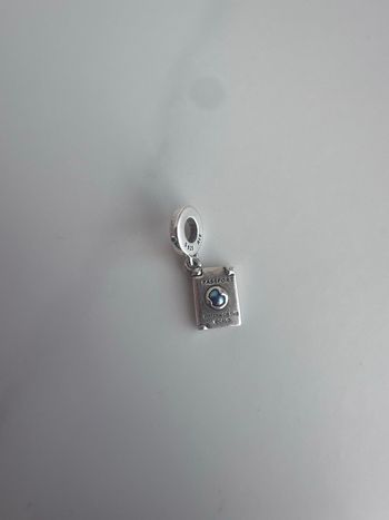 🌺 Charm Pandora passeport argent
