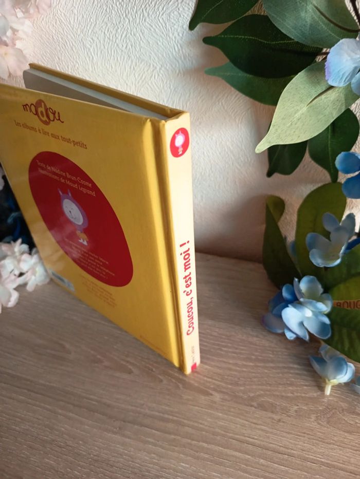 Coucou, c’est moi ! Les albums du Père Castor - photo numéro 3