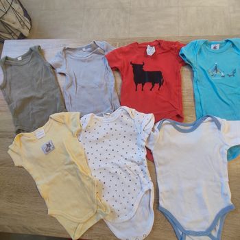 Lot 7 bodies manches courtes taille 6mois