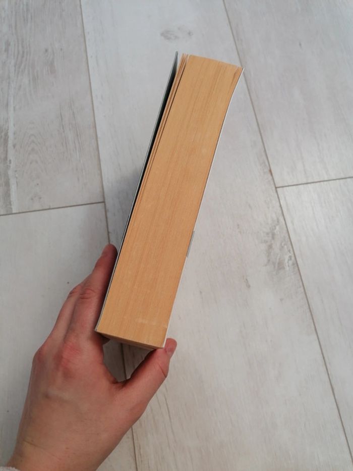 Tome 1 Roman les Ailes d'émeraude - photo numéro 7