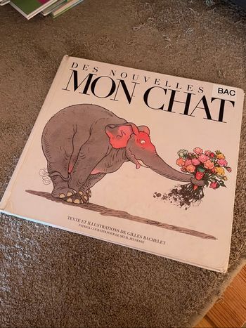 Livre - Des nouvelles de mon chat