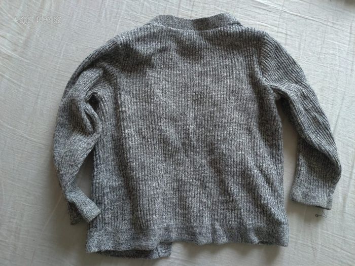 Gilet gris - photo numéro 2