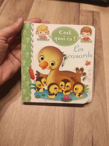 Livre : Les canards