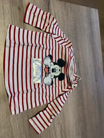 Lot de 2 t-shirt Disney
