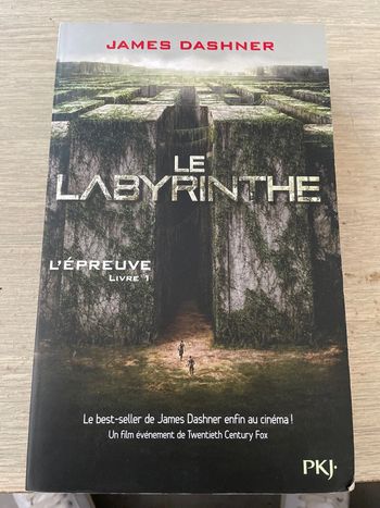 Livre le labyrinthe