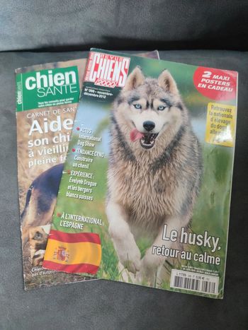 Magazine spécial husky de Sibérie revue chien 2000