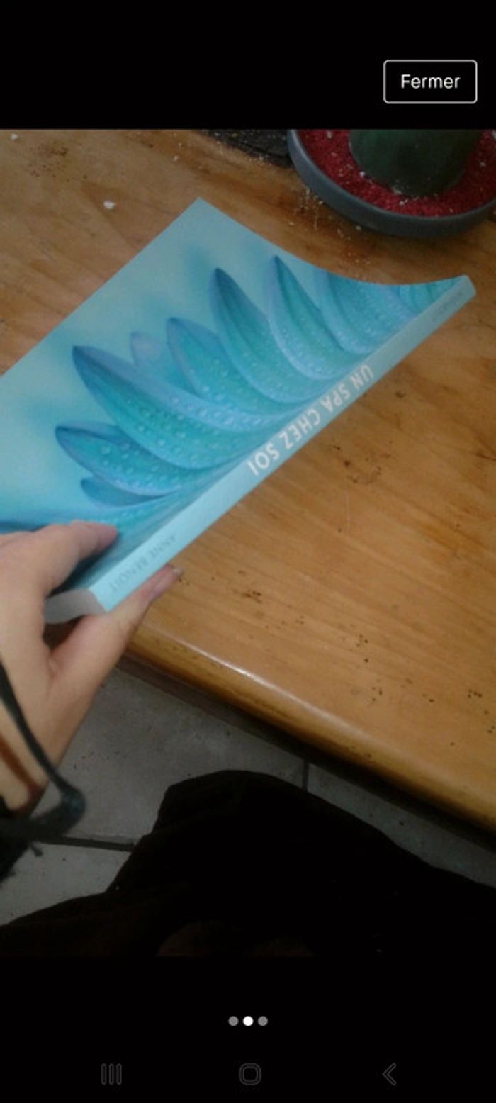 Un spa chez soi de Anne Benoît - photo numéro 2