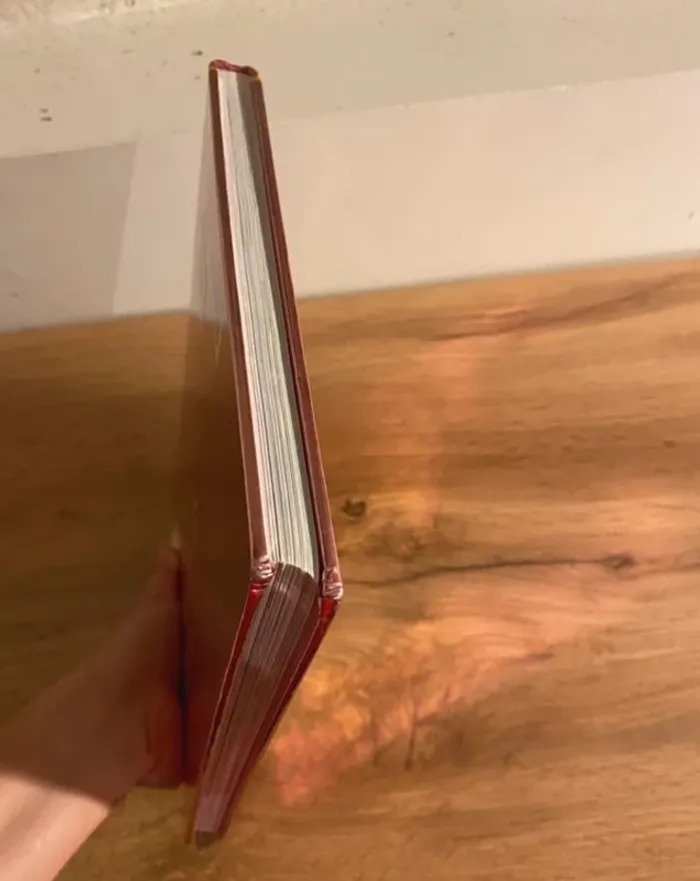 Lot de livres princesses - photo numéro 16