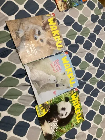 Lot 3 livres wakou