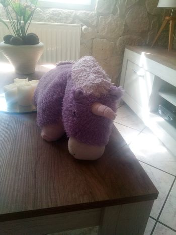 Peluche Pillow pet licorne