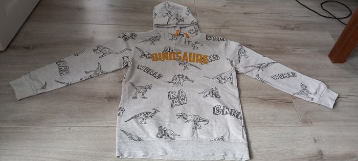 Pull dinosaures gemo 10 ans
