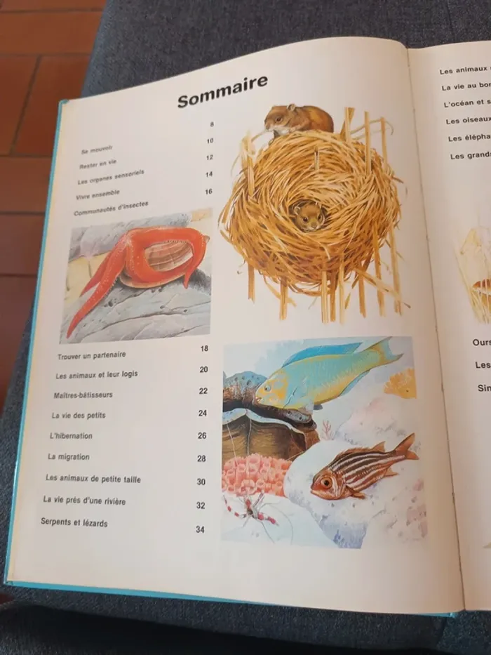 Mon 1er livre des animaux - photo numéro 3