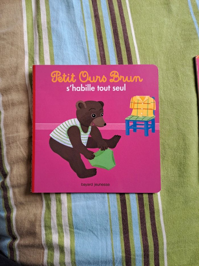 Petit ours brun - photo numéro 3