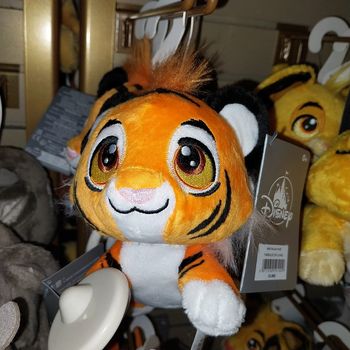 Pick-up Raja Naïf Disney