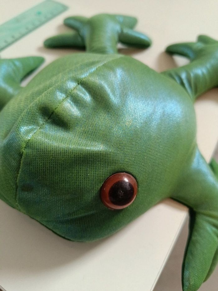 Grenouille sable - photo numéro 4