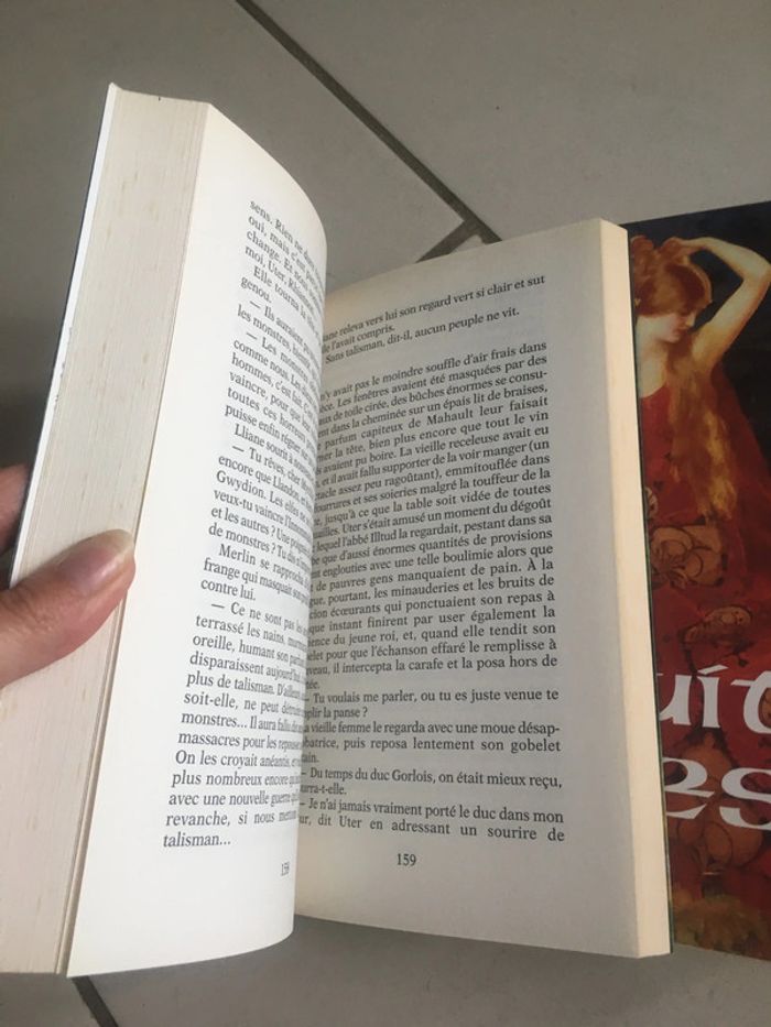 Livres Trilogie des Elfes Broché : Le crépuscule, la nuit et l’heure - photo numéro 6